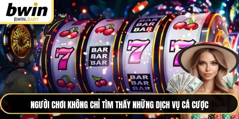 Người chơi không chỉ tìm thấy những dịch vụ cá cược